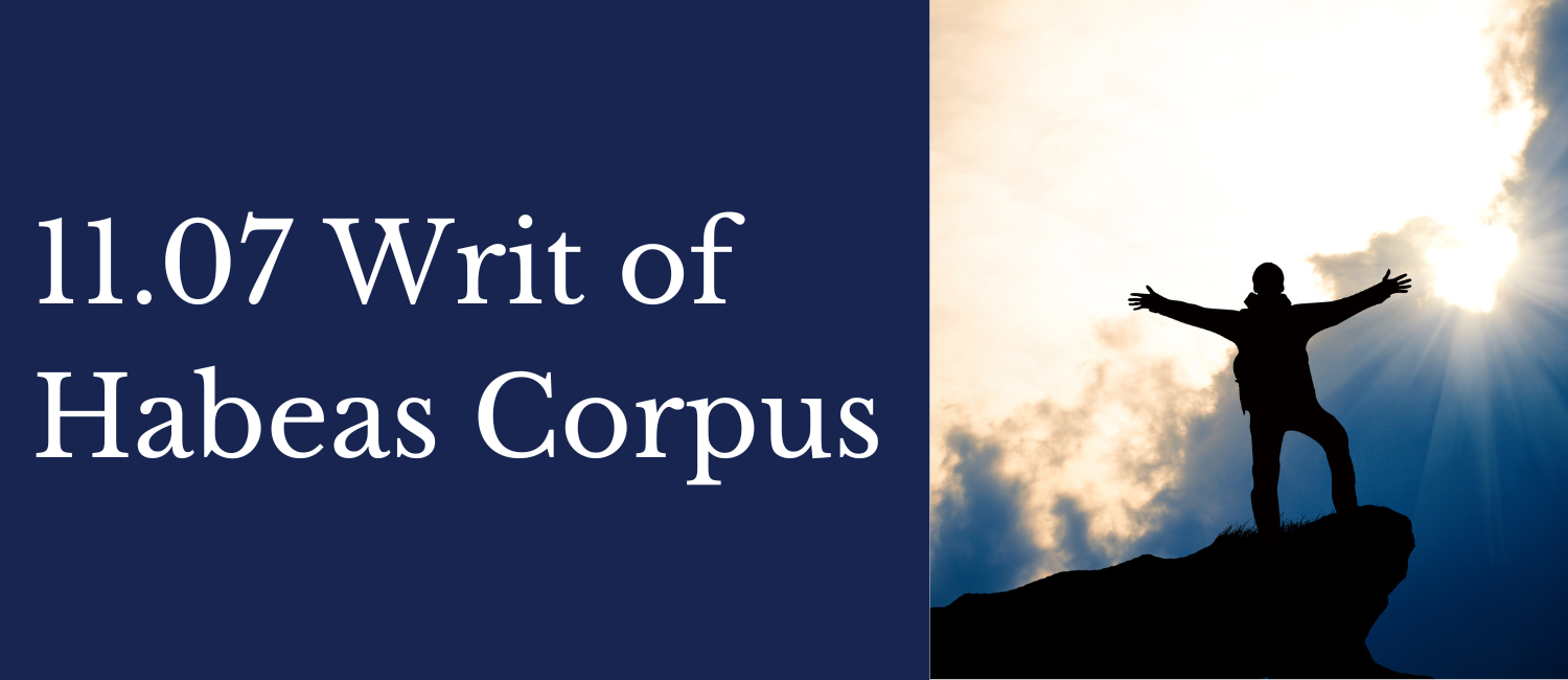11.07-writ-of-habeas-corpus-Texas